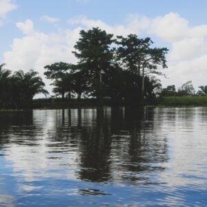 412365872_18247429921234893_100334258630210408_n