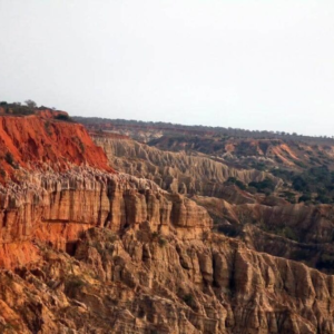 9d82f06d 6f22 452a b184 85071f60ab92.webp