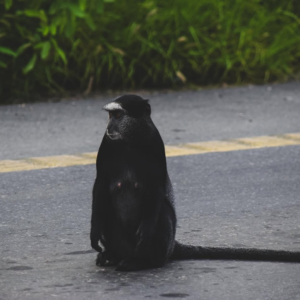 saveclip.app 412284857 18247428946234893 6478479064471241984 n.webp