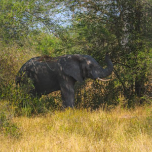 saveclip.app 519071787 18316901581234893 7990844021007324511 n