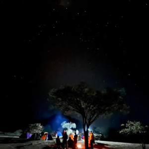 saveclip.app 522929740 18318372037234893 4006559949249311797 n.webp