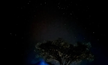 saveclip.app 522929740 18318372037234893 4006559949249311797 n.webp