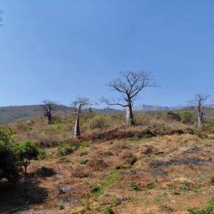 saveclip.app 563608190 18328907338234893 7277108192328949113 n.webp