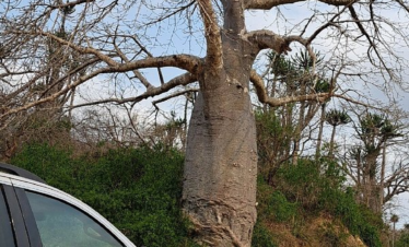 caption 2 4.webp
