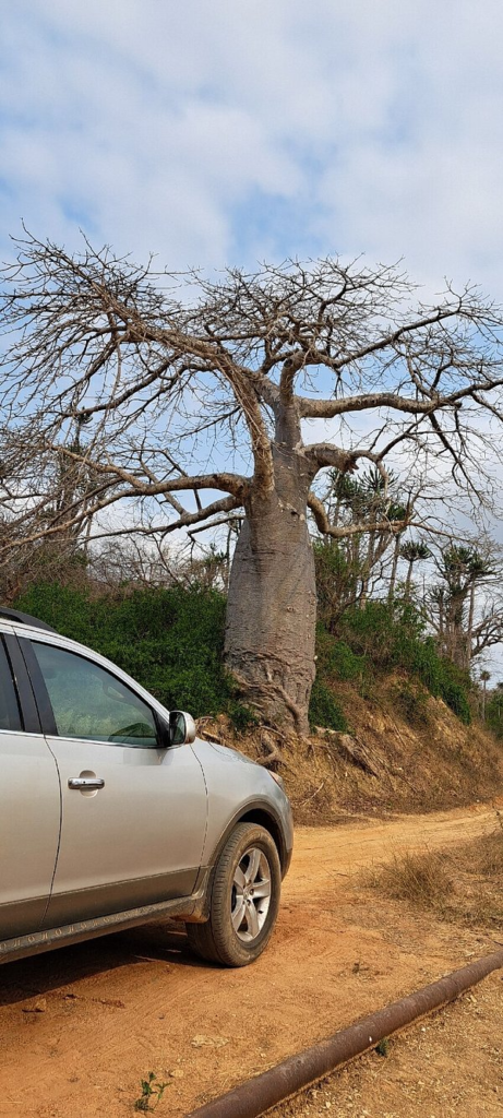 caption 2 4.webp