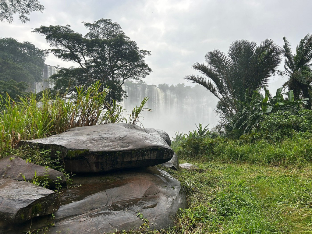 caption 9.webp