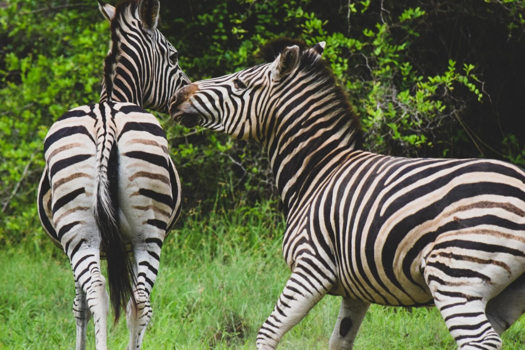 412351057_18247429027234893_7658601276870414404_n